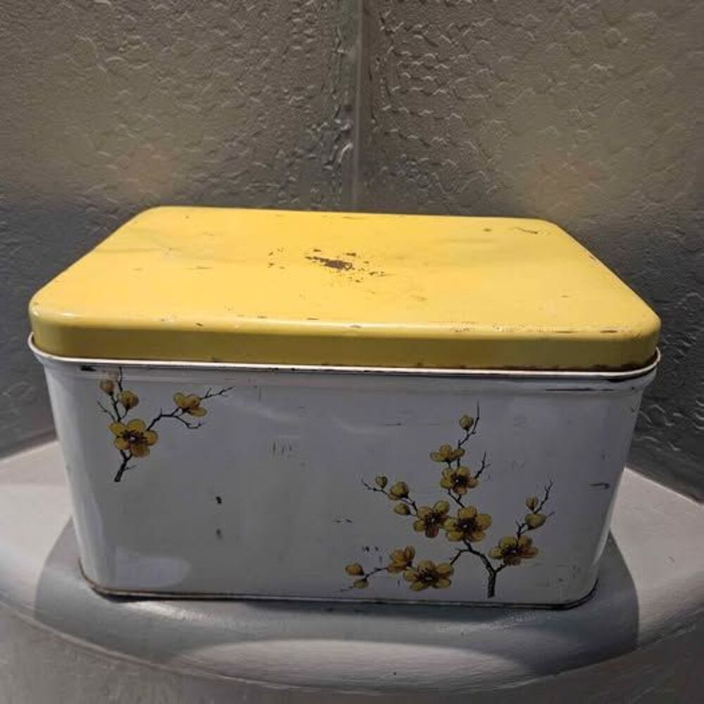 Vintage 1950s Rustic Painted Vinted Floral Metal Bread Box Minor Dent and Rust